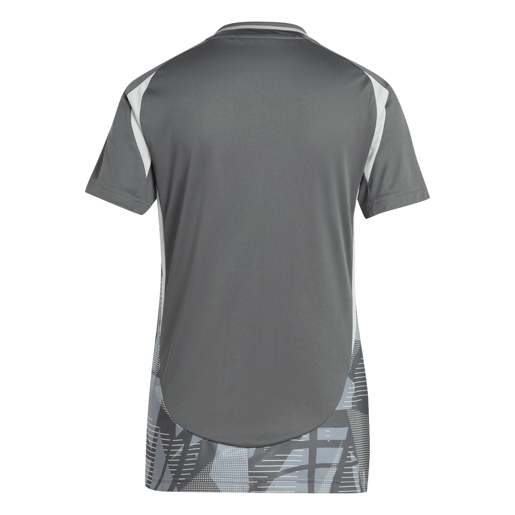 adidas Women's Tiro 24 Competition Match Jersey - Grey